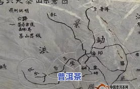 易武普洱茶属于哪个产区？详解其产地与特点