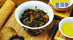 金坛普洱茶-常州普洱茶