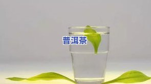 矿泉水能否泡茶？探讨其可行性与留意事项