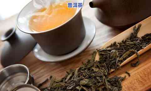 喜欢的普洱茶，探索市场：受欢迎的普洱茶一览