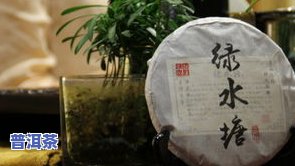 绿水塘普洱茶介绍视频-绿水塘普洱茶介绍视频大全