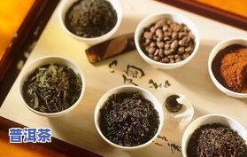 痰湿肥胖喝普洱茶可以吗-痰湿肥胖喝普洱茶可以吗女性