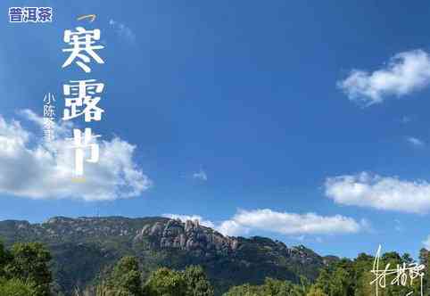 2019-2020白露茶：稀世太姥山价格特辑