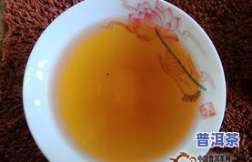 佤山映象普洱茶7852、7872与砖形7581熟茶对比评测