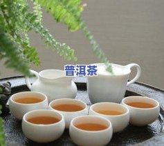 喝普洱茶需要什么茶具？挑选合适的茶具让品茗更佳