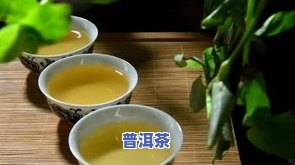 普洱茶产品用途及特点介绍图片大全高清，包含价格信息