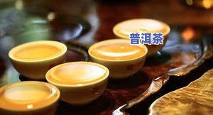 好的普洱茶品鉴指南：从选购到品尝的全过程