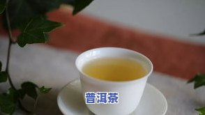 中榕茗茶普洱茶口感如何？介绍及旗舰店链接