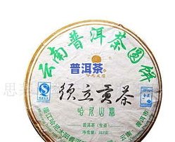 普洱茶产品介绍：特性、用途与哈尼太阳普洱茶的亮点