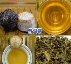 普洱茶大概价格是多少钱一斤？一般在多少范围内？