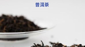 普洱茶的简介来源于哪里？详解其历史、制作工艺与文化背景