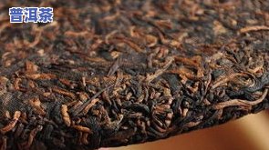 古树普洱茶：种类、类别与茶叶全面解析