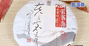 弯弓普洱茶特点简介：古树茶口感、档次及价格全解析