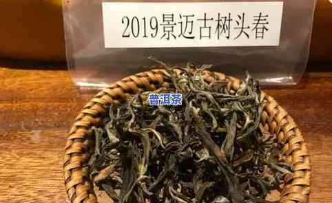 弯弓普洱茶特点简介：古树茶口感、档次及价格全解析