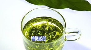 普洱茶绿茶化的特点是啥-普洱绿茶是绿茶吗