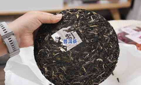 最火普洱茶单品推荐：十大热门款及高清图片