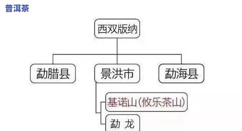 探究普洱茶各大山头的基本特性和口感：口感特点、特征与区别