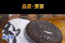 兰桂普洱茶-兰香普洱茶