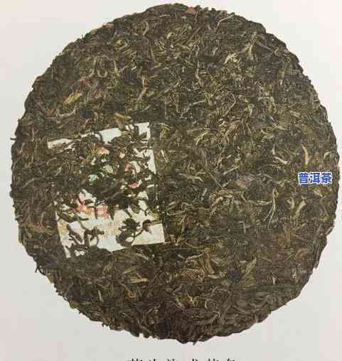 普洱茶为什么有小渣渣-普洱茶里面有絮状物