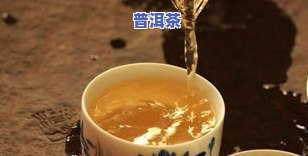 普洱哪种茶好喝？深度解析不同种类的口感与特点