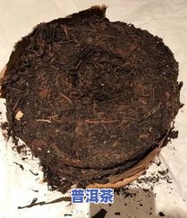 普洱茶笋壳很脏怎么办呀-普洱茶笋壳很脏怎么办呀图片