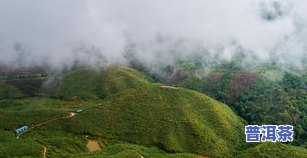 普洱茶6大古茶山：揭秘云南普洱茶的核心产区