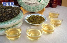 寻访普洱茶古六大茶山-普洱茶古六大茶山介绍