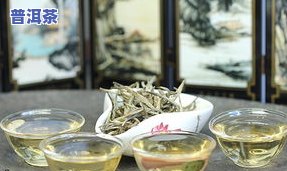 普洱茶一年四季的更佳品饮时机与采摘季节解析