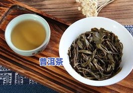 普洱茶4大古树哪个好些-普洱茶4大古树哪个好些呢