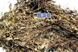 普洱茶4大古树哪个好些-普洱茶4大古树哪个好些呢