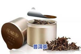 小熊普洱茶-普洱 小