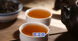 普洱茶一杯更佳冲泡次数：详细解析与建议