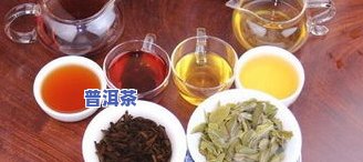 茶农普洱茶价格表：全面收录图片与信息，详解茶农普洱茶品质