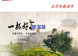 做普洱茶的初衷是什么呢-做普洱茶的初衷是什么呢图片