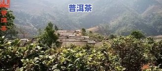 普洱茶的排名：云南普洱茶十大、全国前十名及十大名寨一览