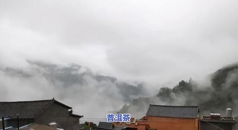 普洱茶的排名：云南普洱茶十大、全国前十名及十大名寨一览