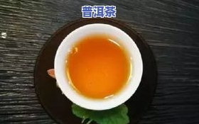 金瓜普洱茶历史-金瓜普洱茶价格