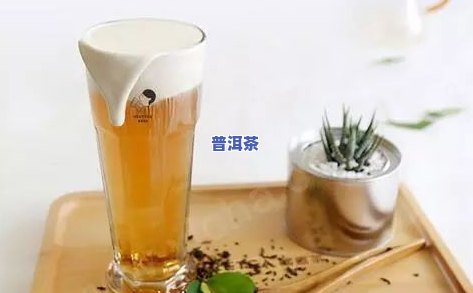 旭日茶饮：专业提供各类茶饮料及茶业产品，欢迎光临旭日茶庄品鉴！