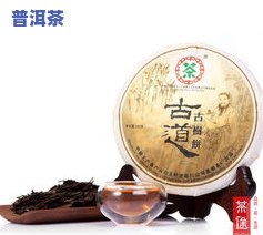 信阳普洱茶：品种、品质、价格全解析