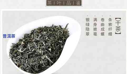 普洱茶十大名茶最新排名：口碑更好的十大及茶叶一览