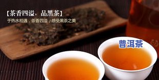 含普洱茶的品有哪些图片-含普洱茶的品有哪些图片大全