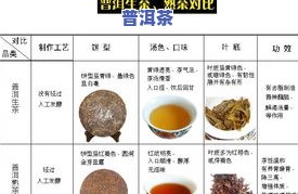 小普洱茶推荐：专业评测与购买指南