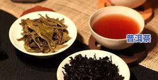 小众的普洱茶排行榜-小众的普洱茶排行榜前十名