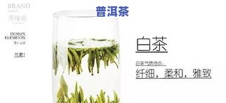 秀峰茶叶：湖南秀峰茶业、秀峰岩福鼎白茶价格与介绍