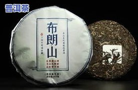 探究冰岛古树普洱熟茶口感：纯料、生茶价目一览