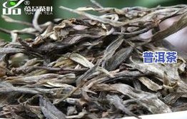 冰岛古树普洱茶生茶功效-冰岛古树普洱生茶的功效