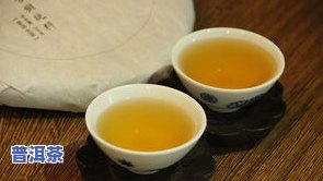 普洱茶能放几年时间？了解保存期限与品质变化