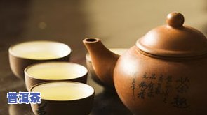 普洱茶茶壶选择：、材质与适用性全解析