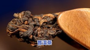 景遇普洱茶多少钱一柄？景遇古树普洱茶、景真普洱茶、景遇山野生古树茶和景糯普洱茶的价格全在这里！