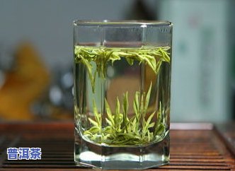 绿茶普洱：种类、功效及饮用方法全解析